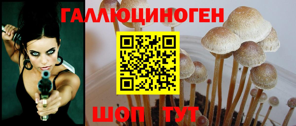 Галлюциногенные грибы Psilocybine cubensis Сердобск